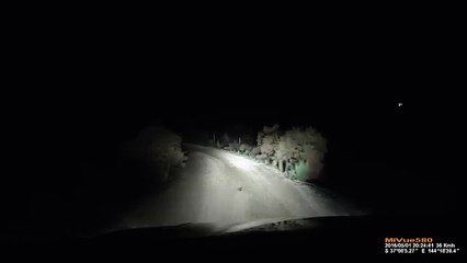 Canguro salió de la nada de una autopista y le dio un susto a conductor