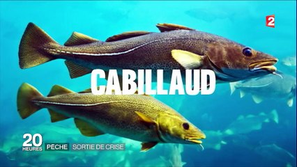 Pêche : sortie de crise pour la filière en France