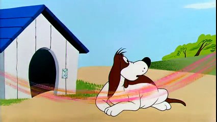 Warner Bros [Gallo Claudio Gavilan] Todos hechos bolas