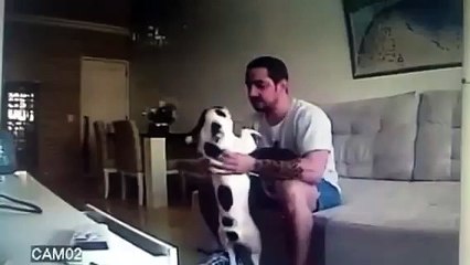 Lascia il futuro SPOSO dopo aver visto cosa faceva al CANE: guardate...