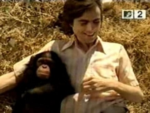 Weezer - Island In The Sun