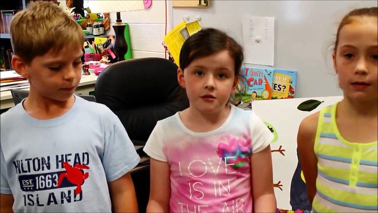 Rainforest Second Grade