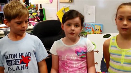 Rainforest Second Grade