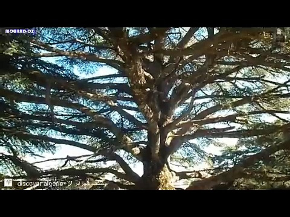 مقتطفات من جمال الجزائر  discover algeria  ツ اكتشف الجزائر