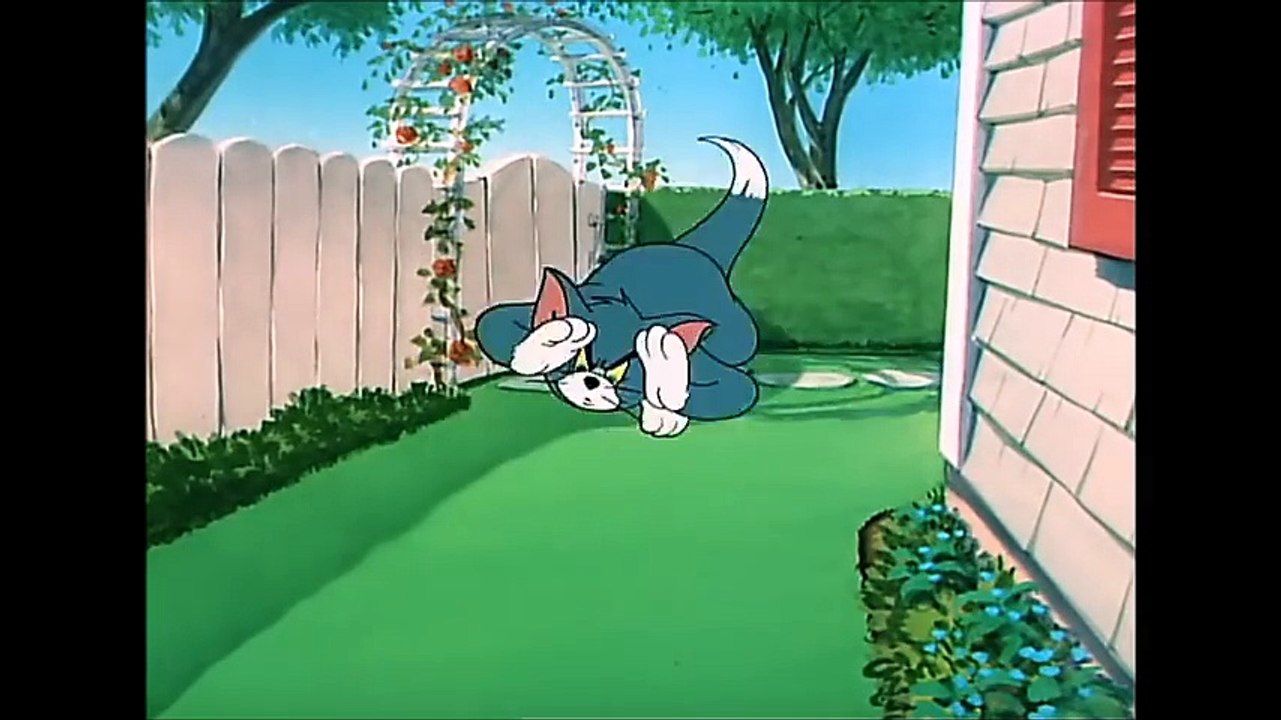 Tom and Jerry, 60 Episode - Slicked-up Pup (1951)