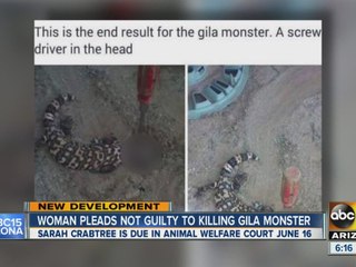 Woman pleads guilty to killing Gila Monster