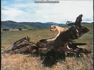 Opening To Johnny Tremain 1997 VHS