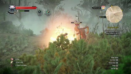 WITCHER 3 DEATH MARCH! WALKTHROUGH 232 - THE ISLE OF MISTS