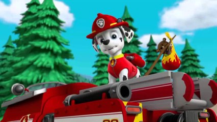 Paw Patrol Season 1 Funny Moments