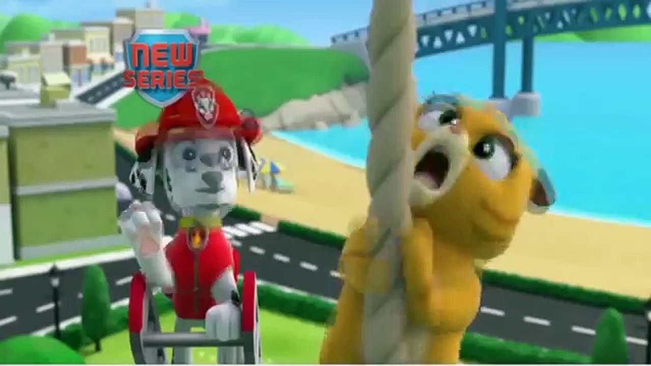 PAW Patrol Meet All Pups