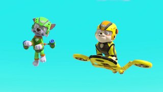 PAW Patrol air pups!