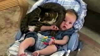 Cute Cats And Adorable Babies- Compilation