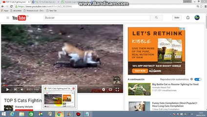 Cómo comprobar Cualquier estadística de vídeo de YouTube