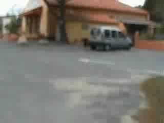 chien chien starsky et hutch entre dans un véhicule