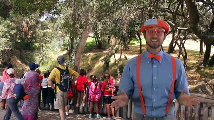 Colors Song, Nursery Rhymes, Learn to Count for Toddlers– Tractor Backhoe Collection for