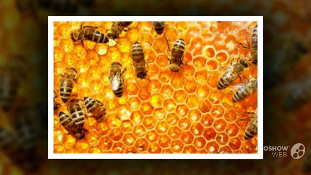 Ecebeeremoval