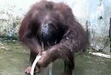 Amaxzing crops video