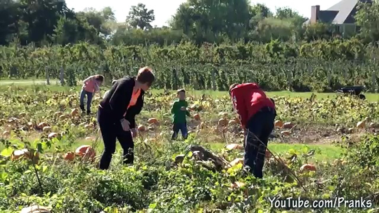 Halloween Prank Compilation 2015