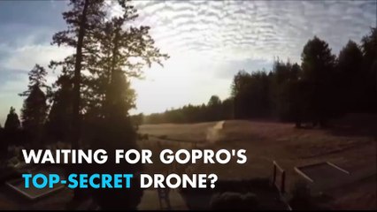 GoPro's drone delayed until the holidays
