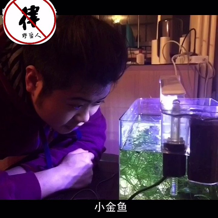 【肥臀王】魚的視角