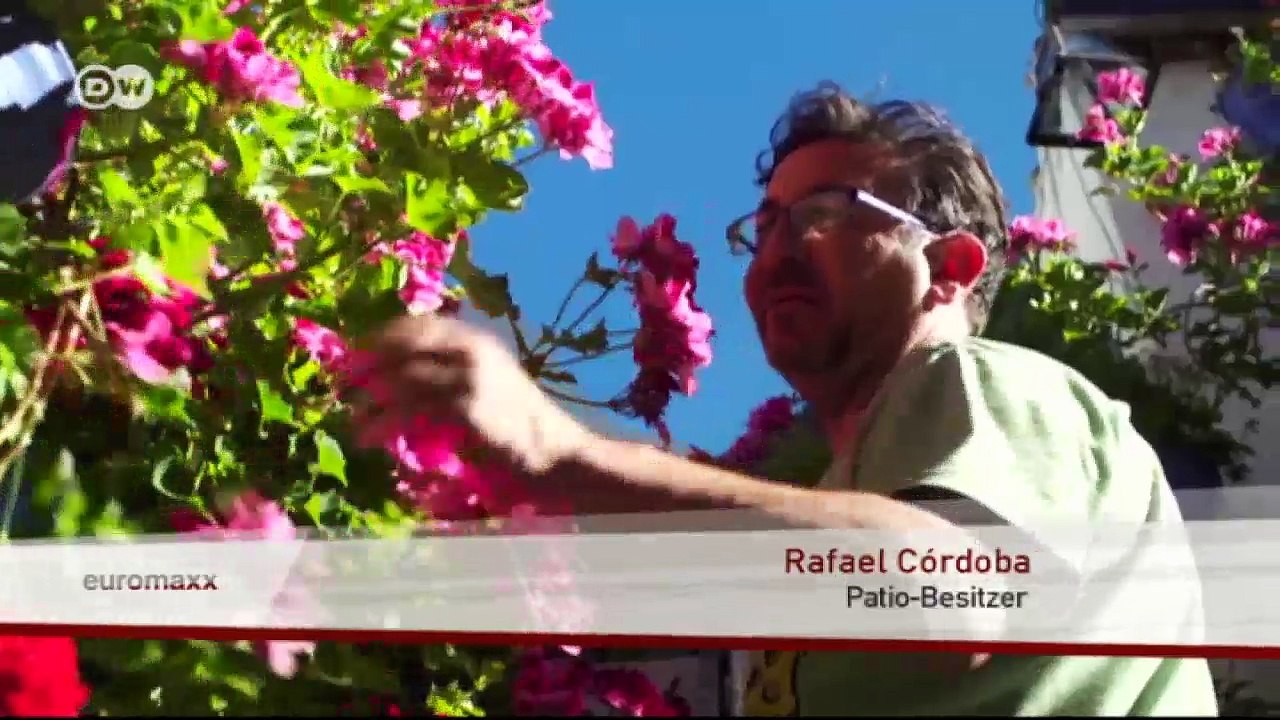Das Fest der Patios von Córdoba | Euromaxx