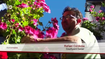 The Fiesta de los Patios in Córdoba | Euromaxx