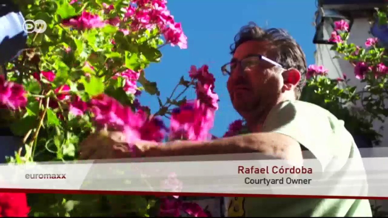 The Fiesta de los Patios in Córdoba | Euromaxx