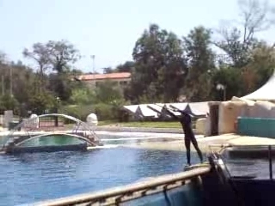 1 saut d'un orque