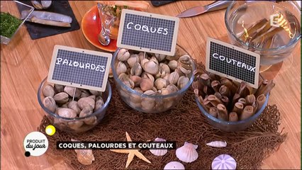 Nos produits du jour : Les coques et les palourdes