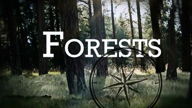 Такая разная планета Земля. Фильм 2. Леса (2014)