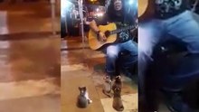 Ce guitariste joue devant le public le plus mignon du monde !