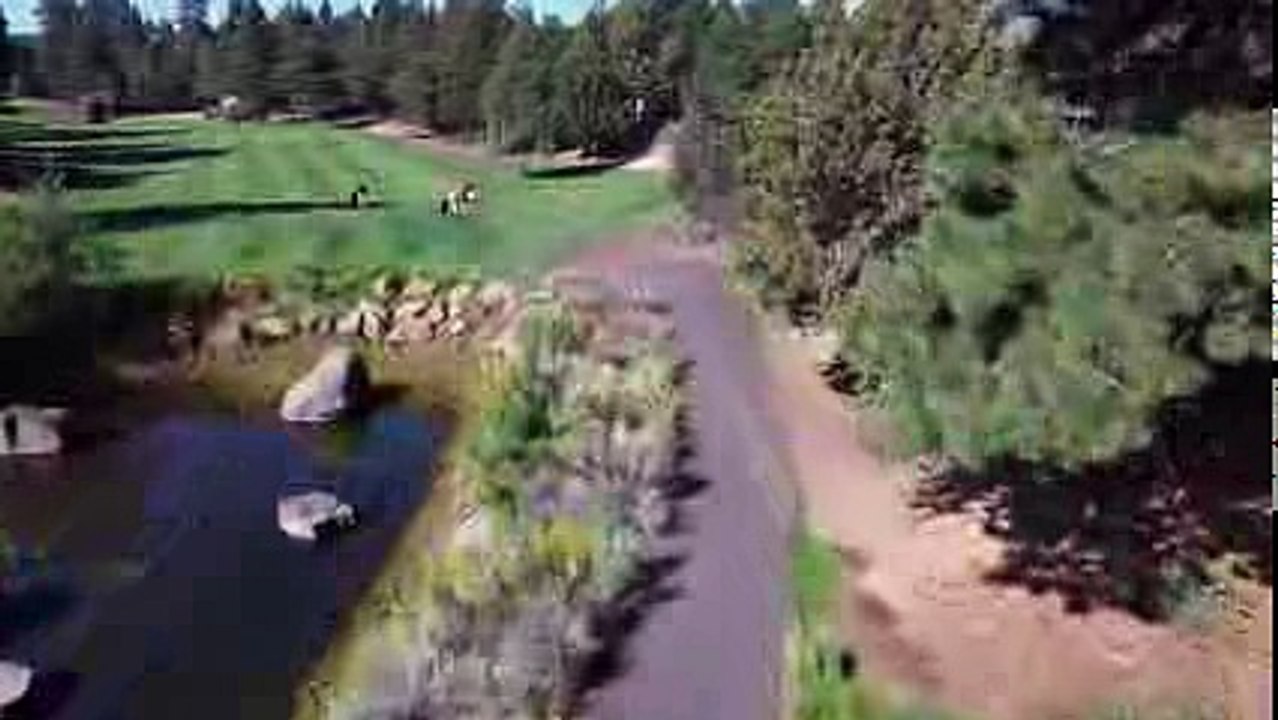 Remote Control Golf Cart