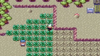 How To Catch Lugia In Pokemon Emerald!