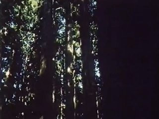 (CM) タカスギ 「満足を買う住宅会社」 (1988 01)