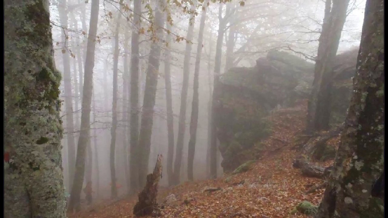 Νικος Ξανθοπουλος & Και τη χαρα μας και τον καυμο μας τραγουδια τα κανουμε