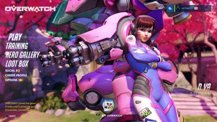 Witweed broadcast OverWatch BETA early access (13)