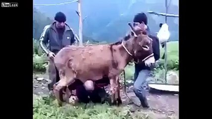 Power full man in jim exercise with hot girl - desi girls video