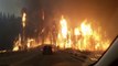 Une voiture traverse une forêt en flammes pendant l'incendie de Alberta au Canada