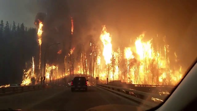 Une voiture traverse une forêt en flammes pendant l'incendie de Alberta au Canada