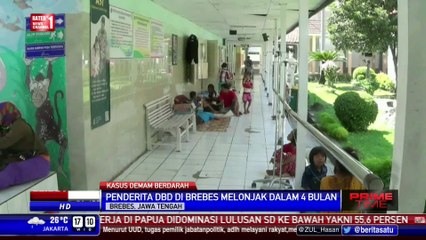 Penderita DBD di Brebes Membludak, Pasien Terlantar