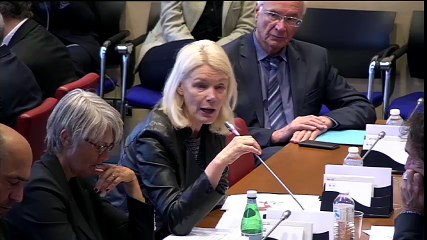 Intervention en Commission des Affaires Sociale sur la création d'une commission d'enquête sur la fibromyalgie