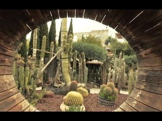 Ischia (NA) - "Meristema", evento green ai Giardini Ravino (05.05.16)