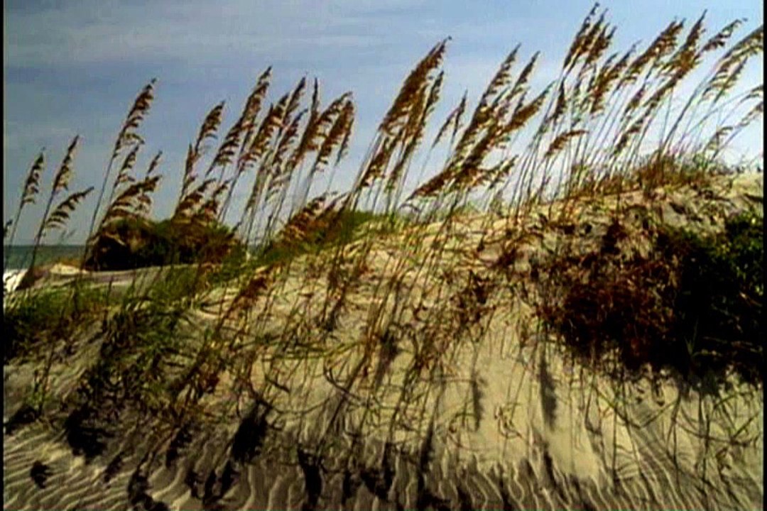 Ocean_Waves_Free_Stock_Footage