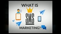 Best Tips to Run a Successful SMS Marketing Campaign