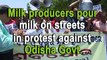 Milk producers pour milk on streets in protest against Odisha Govt.