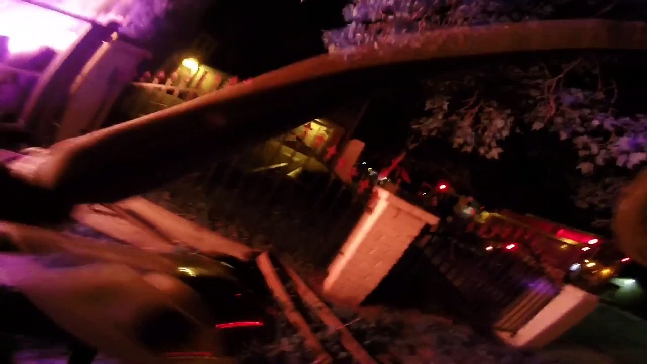 4 chatons sauvés après un incendie