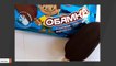 New 'Little Obama' Ice Cream In Russia Ruffles Feathers