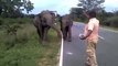 Cet homme fait fuir des éléphants qui le chargent en criant... Courageux!