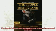 new book  The People V Disneyland How Lawsuits  Lawyers Transformed the Magic