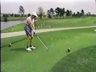 Golfer Hits Bird 2